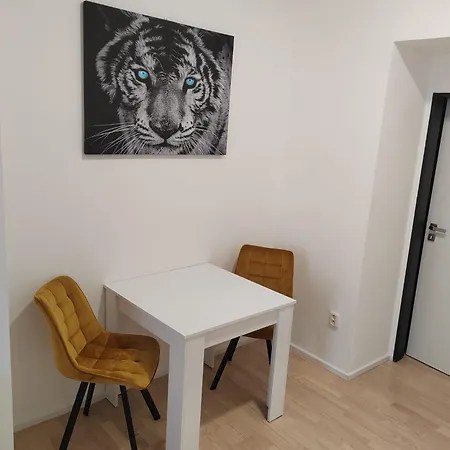 Apartmán Brno-střed *