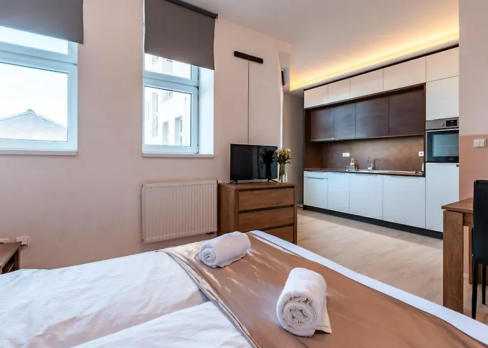 Apartment Skorepka15 Brno-stred