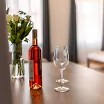 Apartmán Skořepka15 Brno-střed