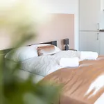 Skořepka15 Brno-střed Apartmán Brno