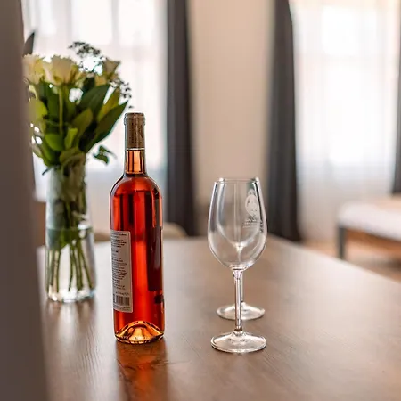 Apartment Skorepka15 Brno-stred
